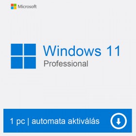 Windows 11 Professional 32 64 Bit szoftver licenc. license, licensz